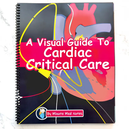A Visual Guide to Cardiac Critical Care cover